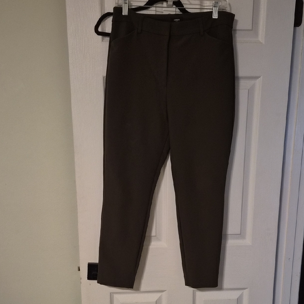 Express Dark Green Editor Pants